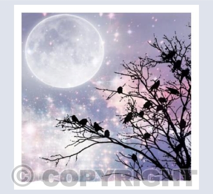 "Winter's Moon"