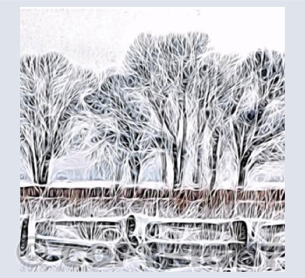 Frozen Trees