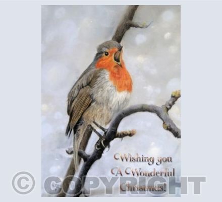 Christmas Robin