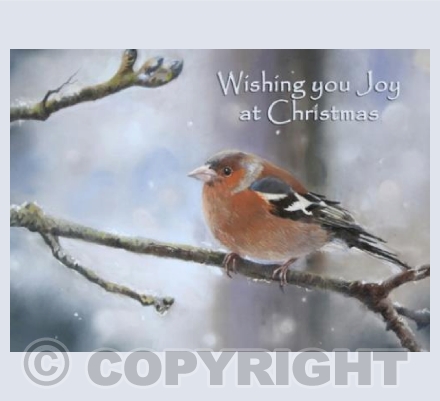 Christmas Chaffinch  