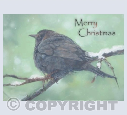 "Christmas Winter Blackbird"