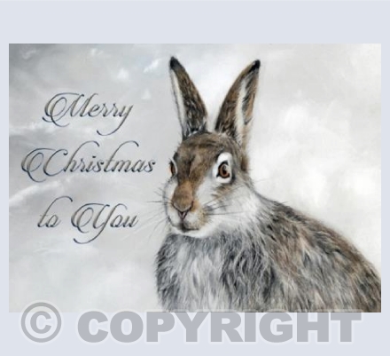 Christmas Hare