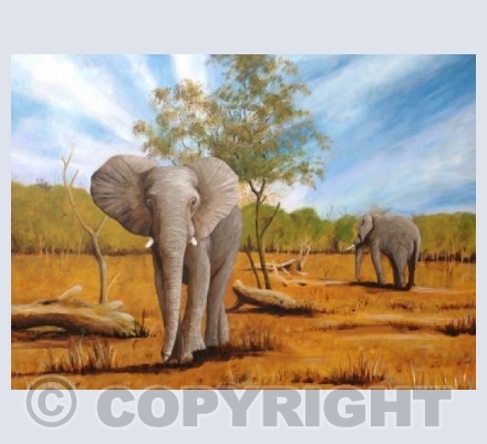 Elephants