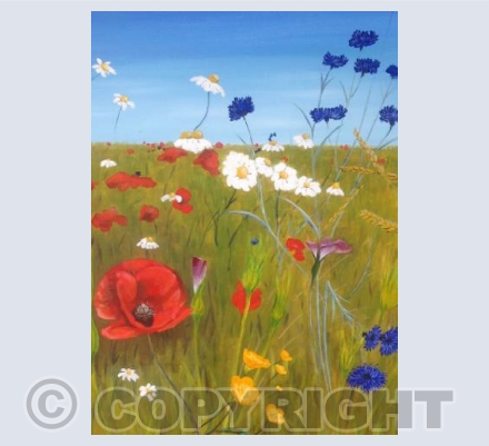 Poppy Field