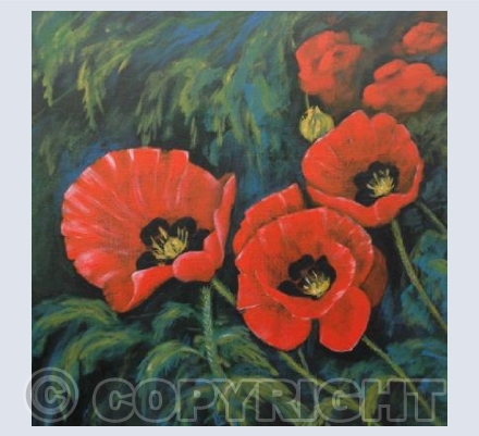 Red Poppies