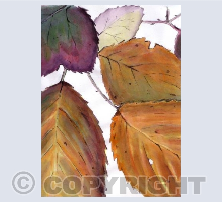 Autumn Bramble