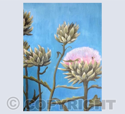Artichokes