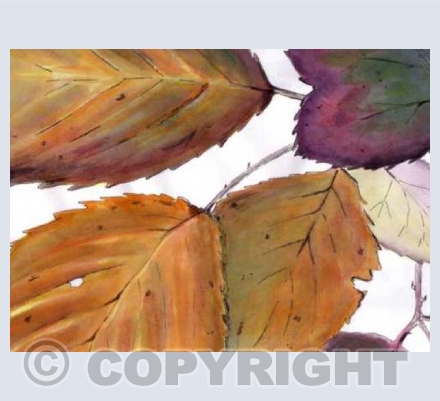 Autumn Bramble