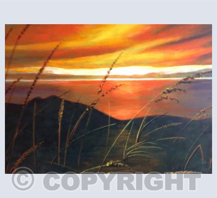 Cornfield sunset