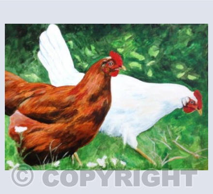 Pecking Order