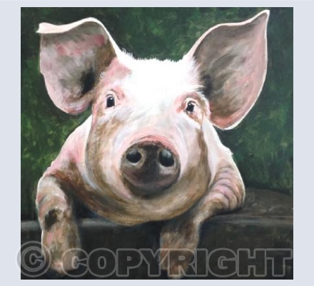 Pignacious