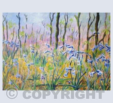 Bluebell Wood