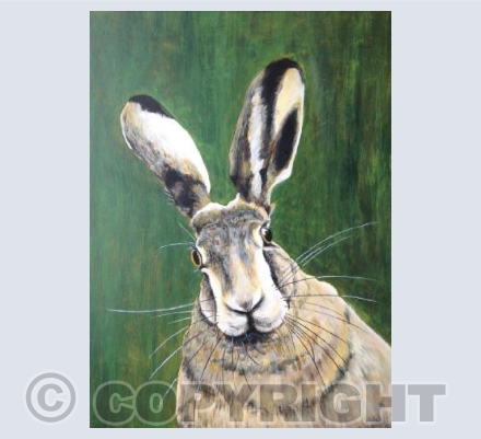 Hare
