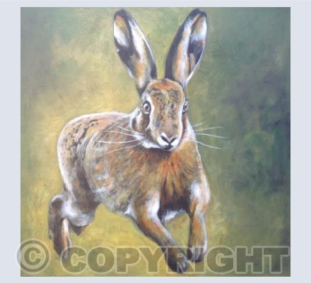 Leaping Hare