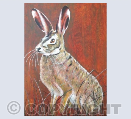 Sitting Hare