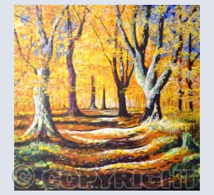 Savernake Beeches 2