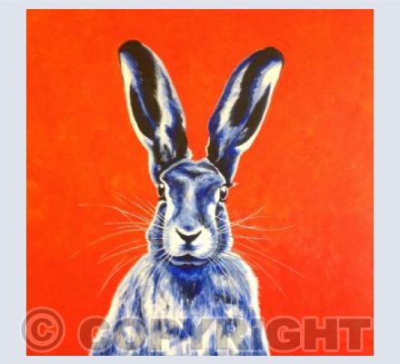 Harry Hare