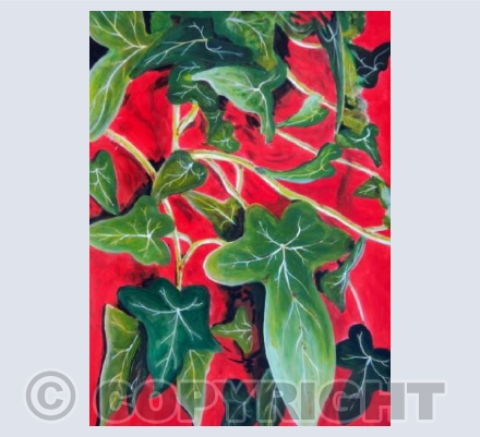 Ivy P