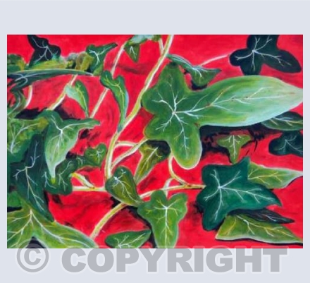 Ivy