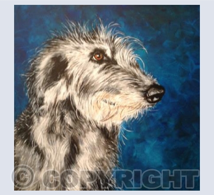 Irish Wolfhound