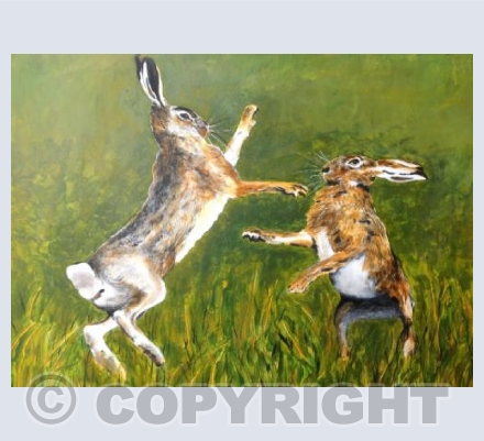 Sparring Hares