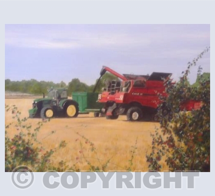 Blackberries and Black Gold