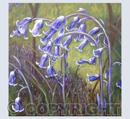 Bluebells