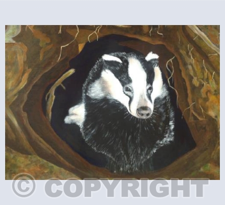 Badger