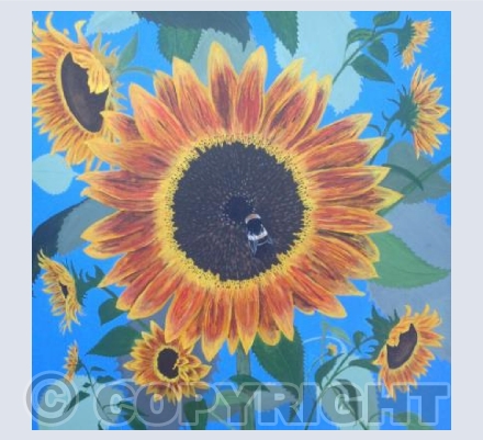 Sunflowers
