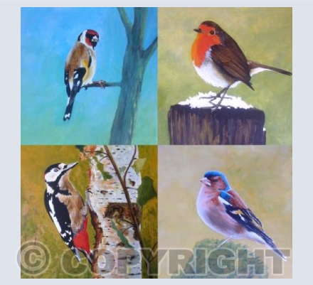 Garden Birds