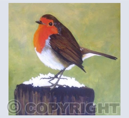 Robin