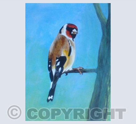 Goldfinch