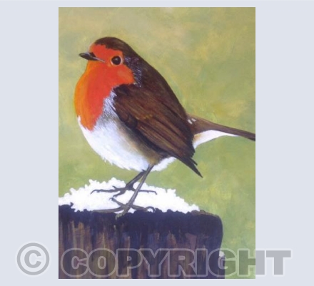 Robin