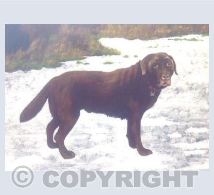 Alfie