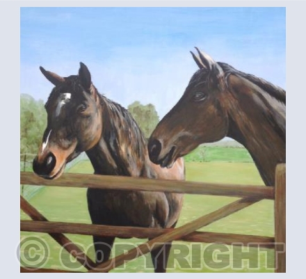 Horses at Barrington