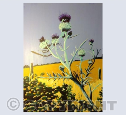 Globe Thistle