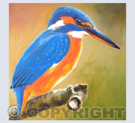Kingfisher