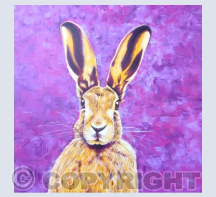 Harvey Hare