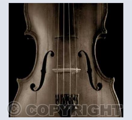 Musical Body