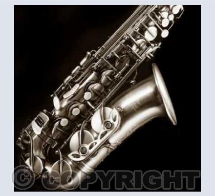 Alto Saxophone