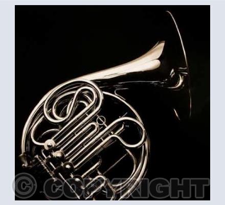French Horn