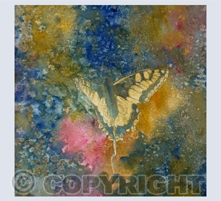 golden butterfly