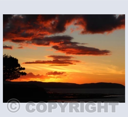 Summer Sunset