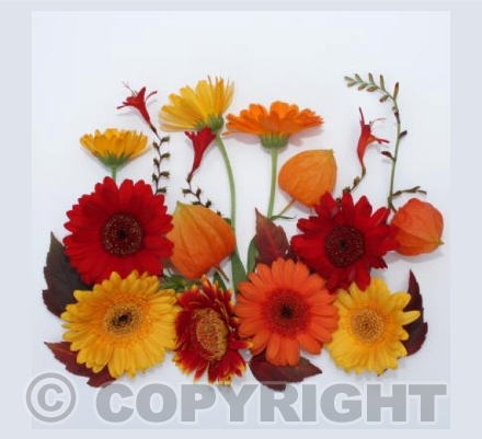 Flower Magic