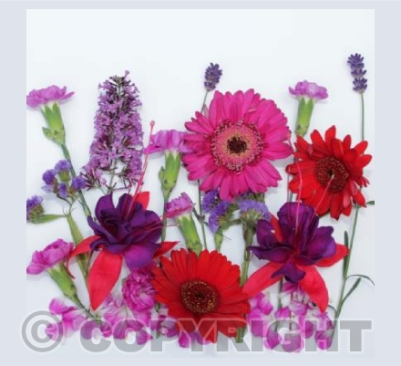 Purple Flower Magic