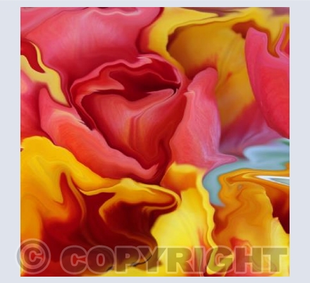 Colour
