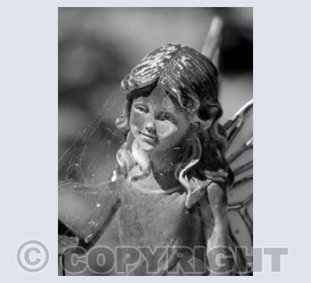 Fairies in the garden