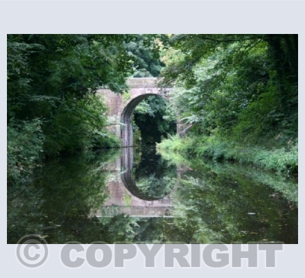 Reflections on the Canal