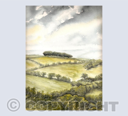 Bampfylde Clump, North Molton