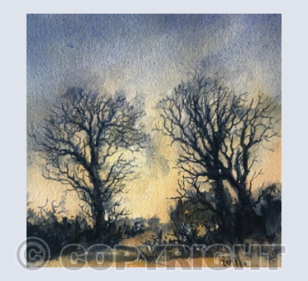 Evening Trees On Exmoor